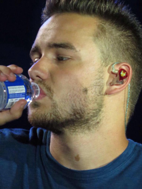worldsworst1dua's tweet photo. Is @Real_Liam_Payne's inner-ear @Iron_Man?

@onedirection
#OnThisDayIn1DHistory
#OTRAVancouver
#OTRAMemories
16/33 https://t.co/vTNGEiIPsD