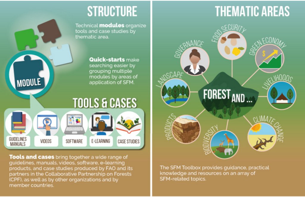 FAOclimate's tweet image. RT @FAOKnowledge:Wrkng in forest management? Check out the Forest Management Toolbox bit.ly/29HpxrR #COFO23