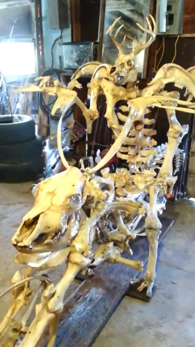 keith55082's tweet photo. #deers revenge #art piece by #keithbooth 12th long 8 tall real #bones led eyes message for info #ripleys #artist https://t.co/rPj5CzKF14
