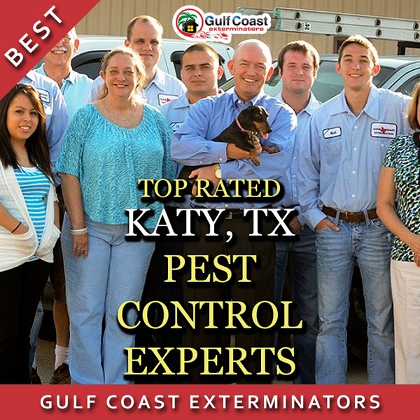 GCEPests's tweet photo. Pest Control #Katy #Texas Gulf Coast Exterminators: Great prices, great warranties &amp; more! https://t.co/avvEwZk2KL https://t.co/o7Qjdz7bHk