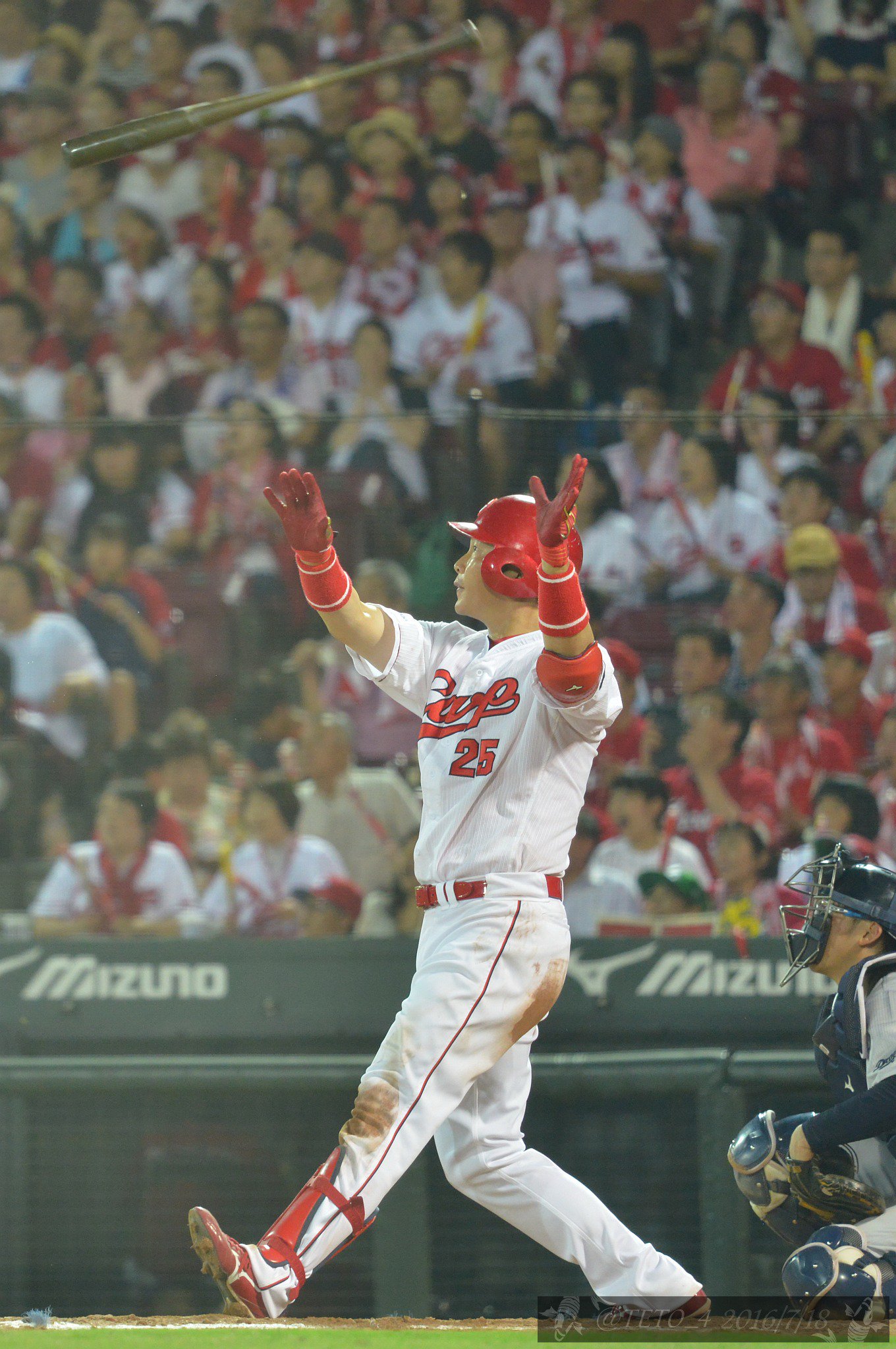 Carp 新井貴浩選手 実使用バット 新井貴浩 実使用バット - メルカリ