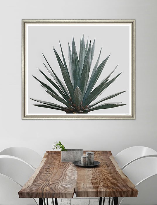 aTailoredSpace's tweet photo. #ArtMonday! Stunning botanic photography from @Trowbridge_Art, picked by #ElizabethHartz for her #BeachClassic room! https://t.co/ve2XQrg7Hx