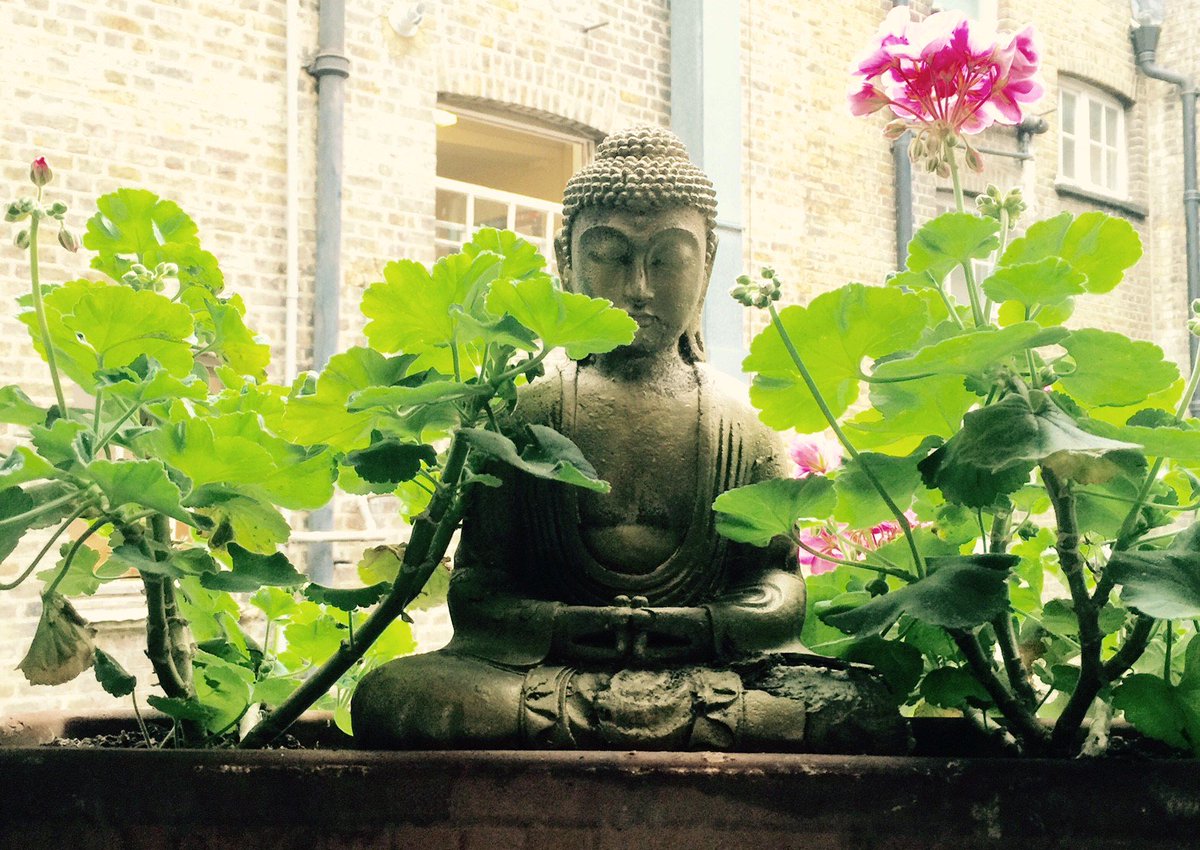 CPeters12345's tweet photo. A little bit of zen on a busy Monday #relax #flowers https://t.co/qXCc5OGamR