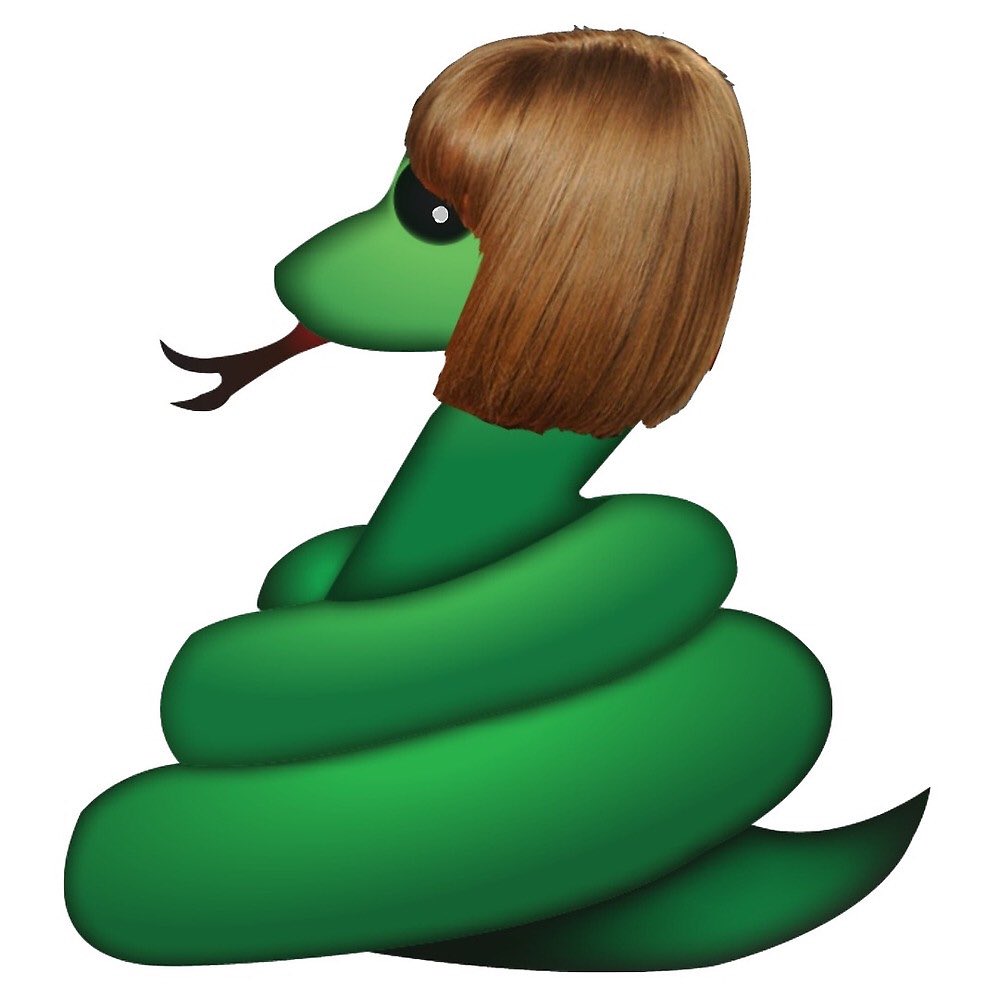 thatfatrayray's tweet photo. Y'all this is perfect. 🐍🐍🐍🐍#KimExposedTaylorParty https://t.co/OYFrSht0ka