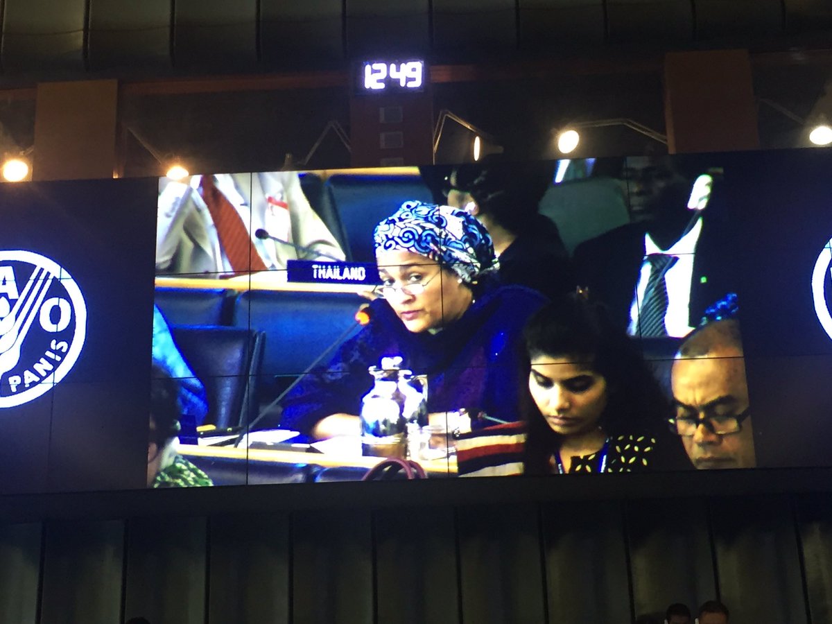 estherclimate's tweet photo. FLASH: HMEnv @AminaJMohammed addresses Excellencies and delgates at #COFO23 #ForestNg https://t.co/9GyxeAnKpg