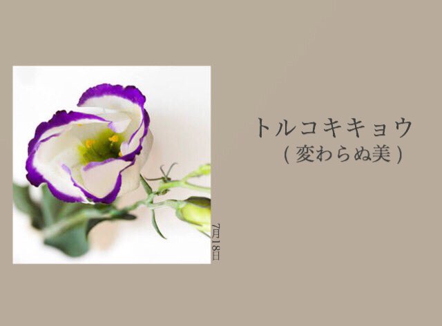 jw_osk's tweet photo. ▷藤井

( 変わらぬ美 )

#366日の花束 
#ジャニストで妄想 
#ジャニーズWESTで妄想 https://t.co/nddB2C6AB7