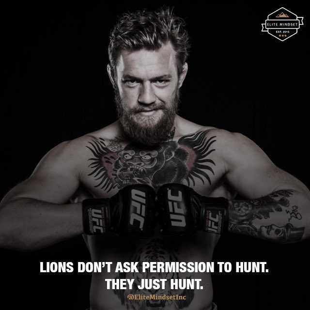 A lion doesn't concern itself with the opinion of sheep! #MondayMotivation #AreYouALionOrASheep