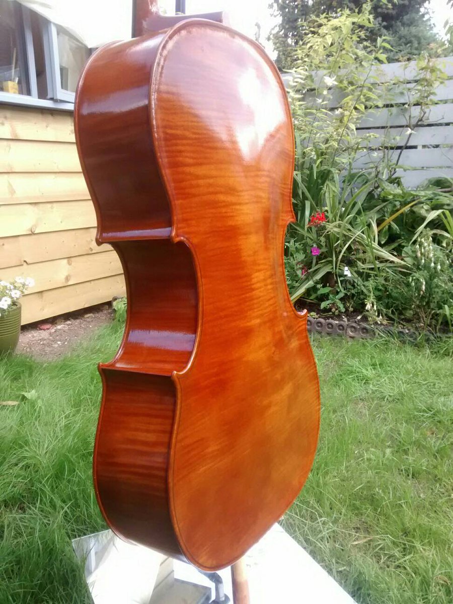 Last coat of colour on my new cello. Modeled on Pietro Rogeri 1717.