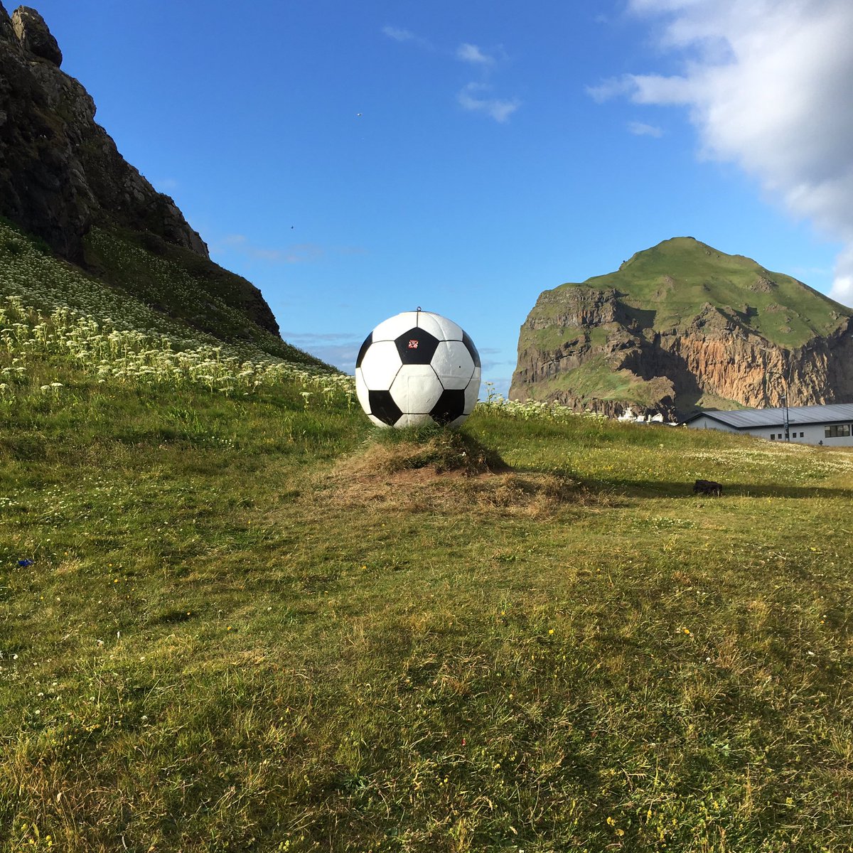 BrainAlwaysWins's tweet image. In Iceland where #ProcessMatters in #HighPerformance #TheBrainAlwaysWins  #Euros2016 @Chjparker