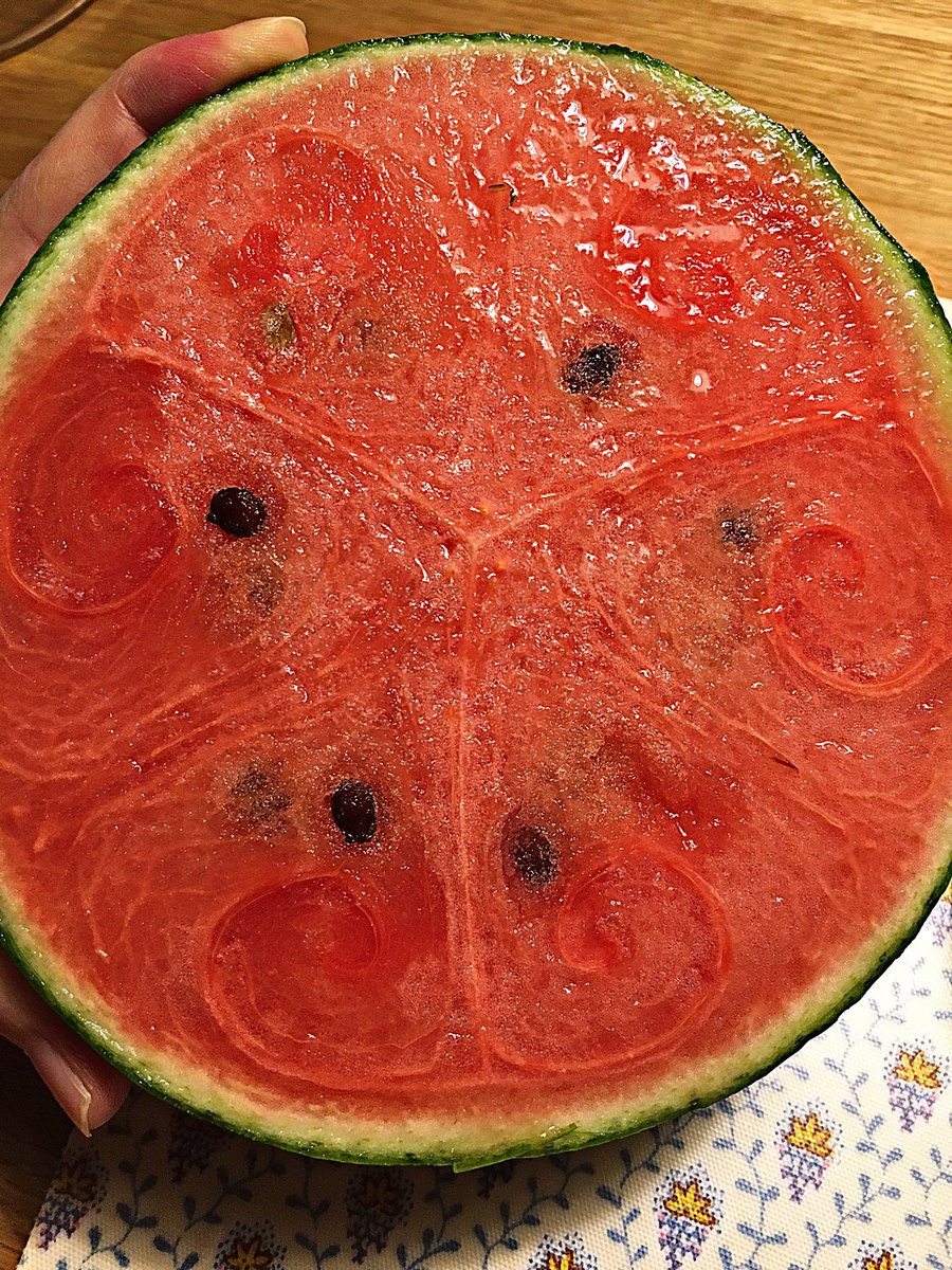 Rimonow Pa Twitter テレビで種なしスイカの切り方が紹介されてたのでやってみた 本当に噴水みたいな模様の維管束が見えて感動w