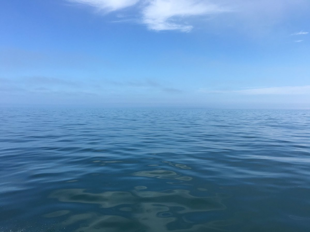 SPerrywink's tweet image. Perfect spotting conditions for @CBMWC All Day survey with Dolphin Survey Boat Trips. @CobwebFP7 app testing time!