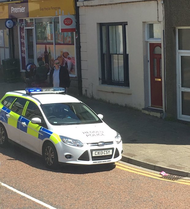 View image on Twitter