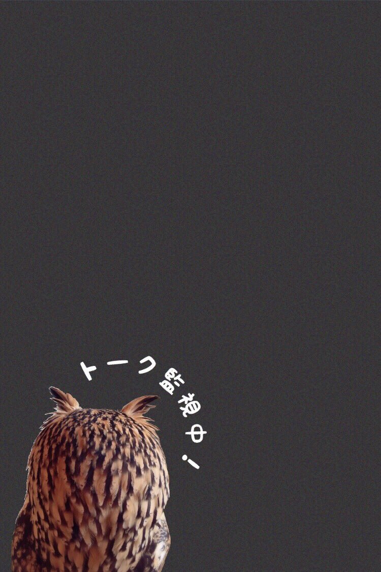 Lineトークルーム壁紙 Twitter Search