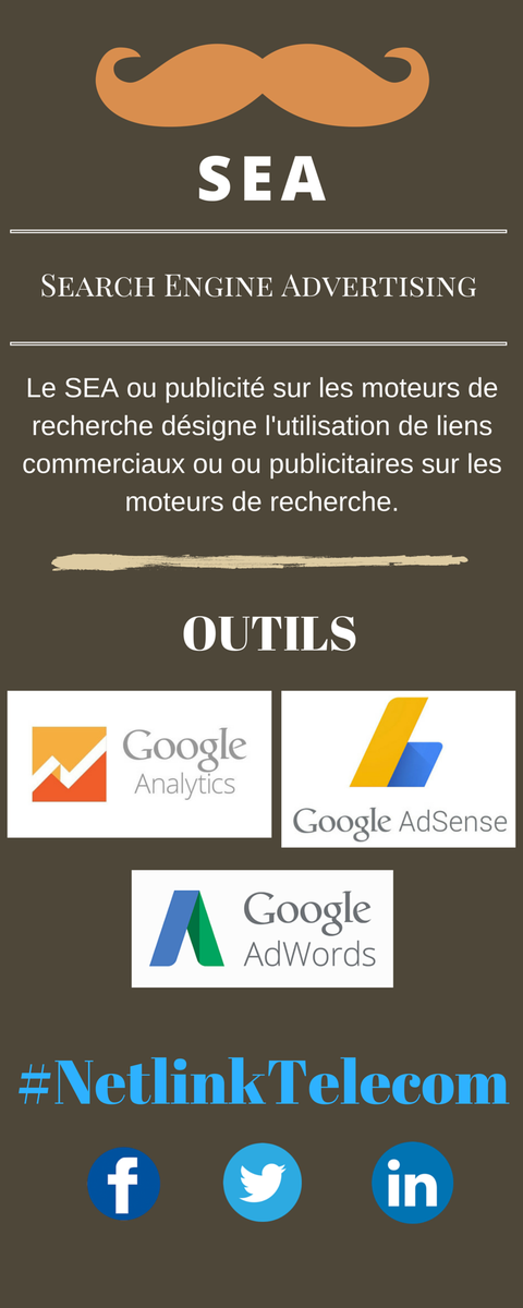 NetlinkTelecom's tweet photo. SEA = Search Engine Advertising = liens sponsorisés = Adwords https://t.co/1TPjMb47ZD