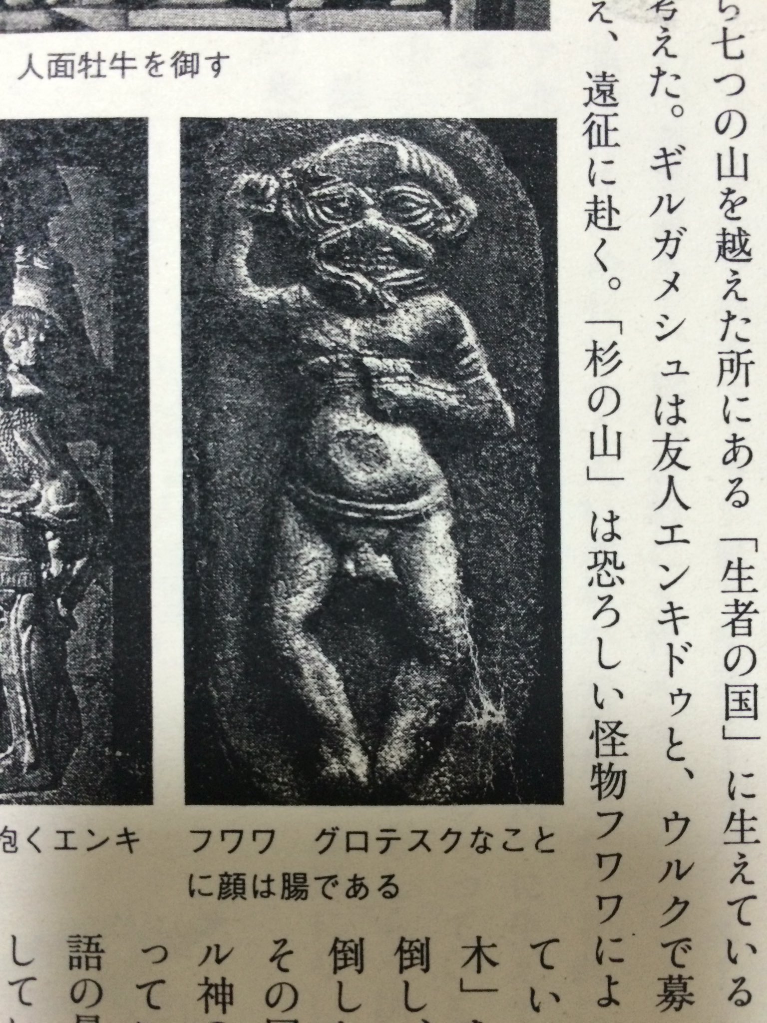 塩葛餅 على تويتر 引越しの荷物に紛れて行方不明になっていたメソポタ資料がようやく見つかったーーとウキウキ眺めていたらフンババ の顔が腸というすごい記述を見つけて真顔になっていたところ フワワ フンババ 塩葛餅 على تويتر 引越しの荷物に紛れて行方不明になっていたメソポタ資料がようやく見つかったーーとウキウキ眺めていたらフンババ の顔が腸というすごい記述を見つけて真顔になっていたところ フワワ フンババ