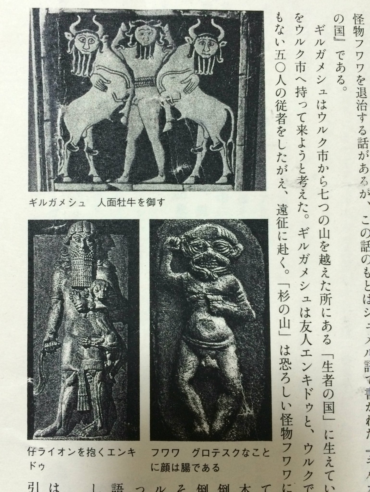 塩葛餅 على تويتر 引越しの荷物に紛れて行方不明になっていたメソポタ資料がようやく見つかったーーとウキウキ眺めていたらフンババ の顔が腸というすごい記述を見つけて真顔になっていたところ フワワ フンババ 塩葛餅 على تويتر 引越しの荷物に紛れて行方不明になっていたメソポタ資料がようやく見つかったーーとウキウキ眺めていたらフンババ の顔が腸というすごい記述を見つけて真顔になっていたところ フワワ フンババ