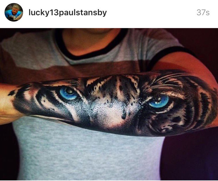 lucky13ipwich's tweet photo. #tiger #animal #forarm #tattoo #ink #inked #lucky13ipswich #paulstansby #artist @TattooSociety13 #art #tattooartist https://t.co/1PLP7afbAs