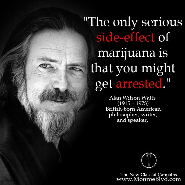 421store's tweet photo. #marijuanaquote https://t.co/iw99yoldlQ @FerventIgneous @BedazzledLamb @FangedAcademy @BronzedPianist @Alluring_Beau https://t.co/hAqhm8uLfk