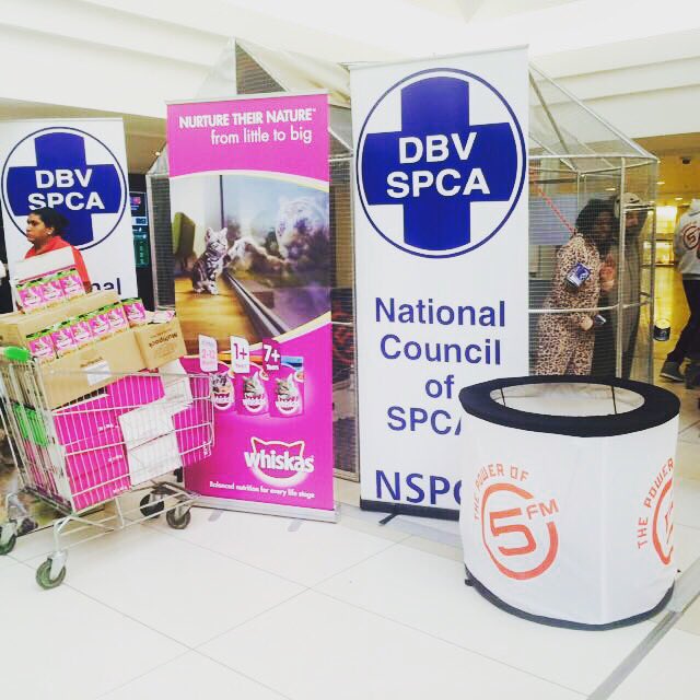 5FM's tweet photo. #FreeTheFurries is SO grateful to #whiskascares who've donated 50000 meals to shelter cats around SA! #BeMoreMadiba https://t.co/dBvT1f0fS4