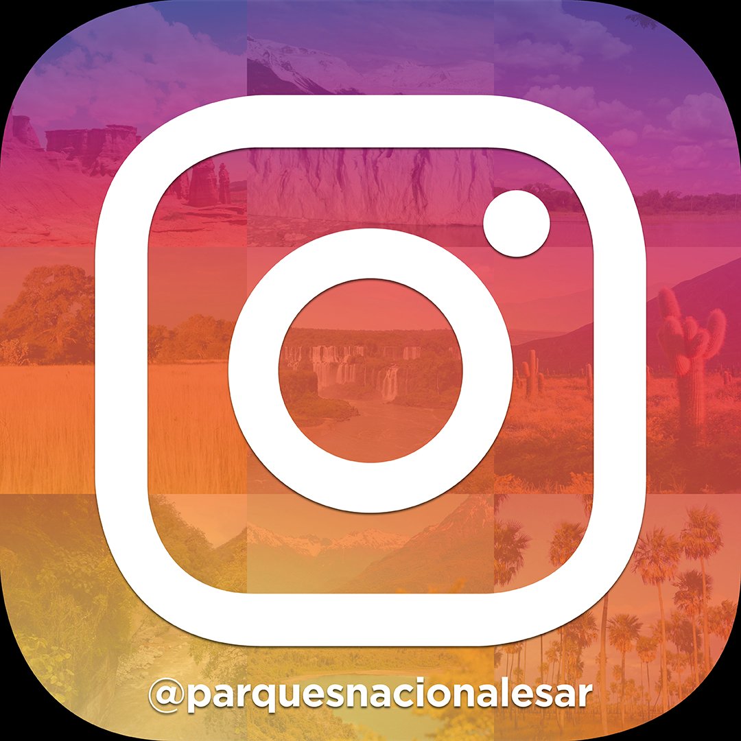 ¡Ya estamos en <a href="/instagram/">Instagram</a>! Pueden empezar a seguirnos desde hoy en este enlace instagram.com/parquesnaciona…