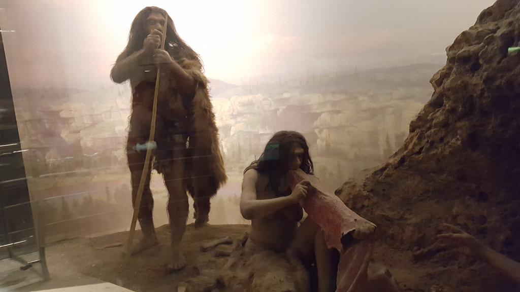 oenoBlogue's tweet photo. J'ai passé ma journée au #musée #NewYork #TRex #Neanderthall  #Ngomgom https://t.co/j8aSAQeXTx