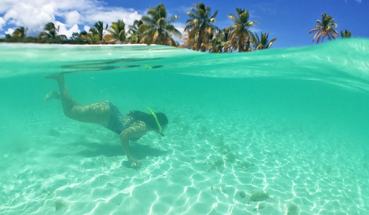 anguillabeaches's tweet photo. We devotin'
Full time to floatin'
Under the sea 💦🎶
#LittleMermaid 🤗 #OceanExploring ❤️ #Anguilla https://t.co/juurxgDVC4