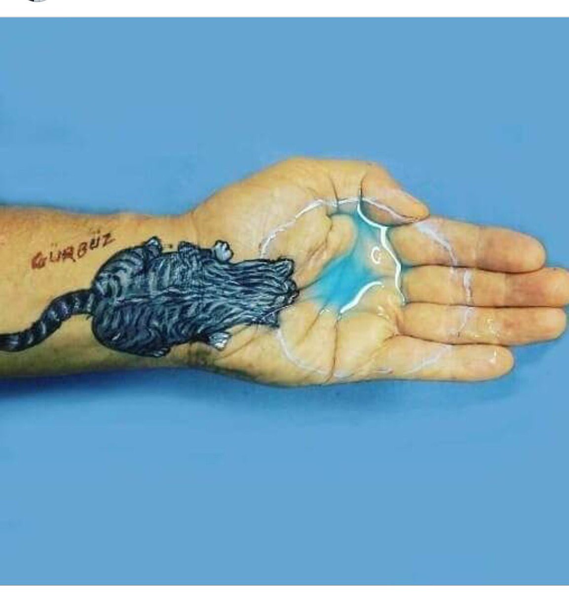 Yeryüzü kavruluyor. Su onlar için bu sıcaklarda yaşam demek. Lütfen her yere #birkapsu