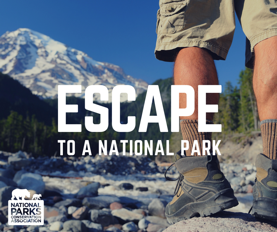 NPCA's tweet photo. Dreamin’ of summer adventures? Check @NPCA’s incredible trips to natl parks: https://t.co/F1k1RcKr3e  #TravelNPCA https://t.co/GXTBRlcuZ5