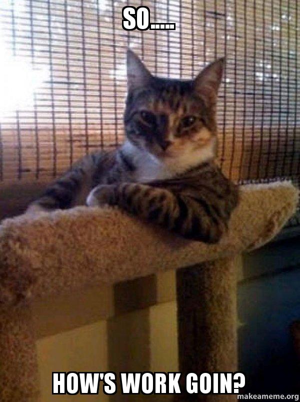 Hoggenot's tweet image. Good... Really good. #hpd #dailyspam #notGameDev #notPokemonGo #CatGo #IdontAlwaysCatButWhenICatIPukeOnFloor #stan