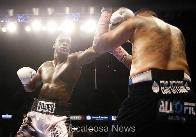 photogMLC's tweet photo. New photos of Wilder vs. Arreola fight! https://t.co/mWoXFA2F3Q @tommydeas @CecilHurt @AaronSuttles @tuscaloosanews https://t.co/DrE81hPMdv