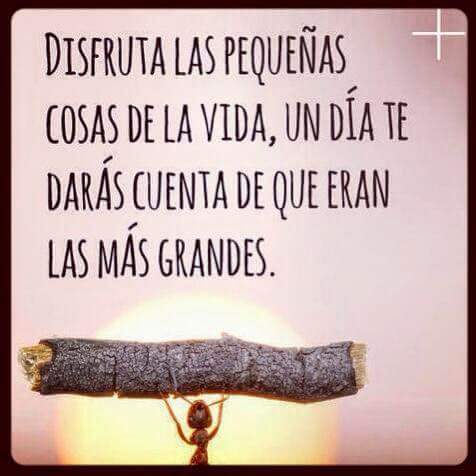 GMendicutiMX's tweet photo. Buen inicio de semana para todos. Les envío Saludos. https://t.co/TJBMq9NsQT