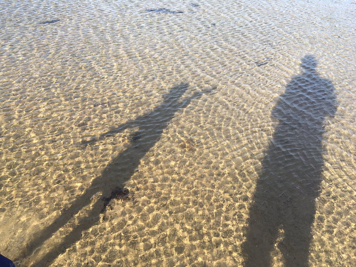 Belmullet CGS tweet media