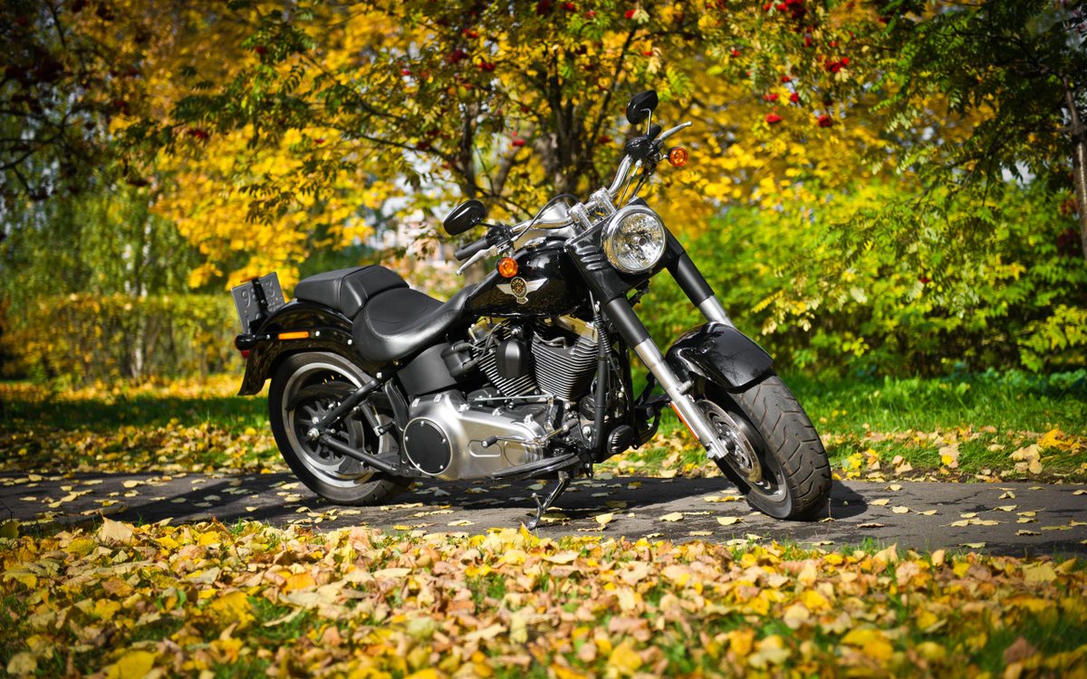 Quaid H-D tweet media