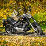 Photo by Quaid H-D (@QuaidHarley)
