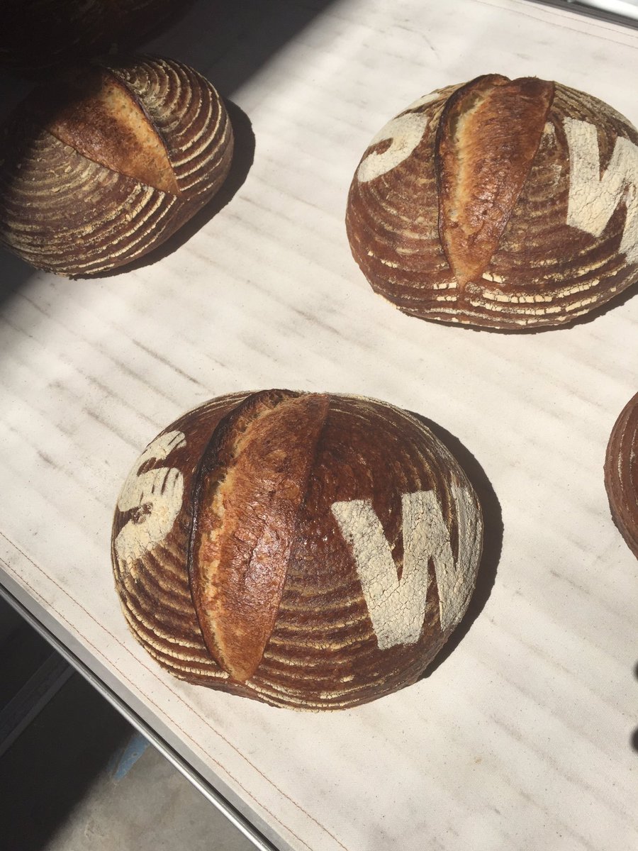 We're 99% of the way to meeting our KS goal! kickstarter.com/projects/seawo…