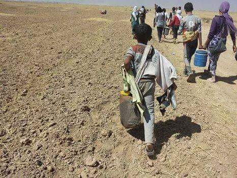 hamadhaji956's tweet photo. #StopYazidiGenocide 
#اوقفوا_الابادة_الايزيدية https://t.co/MT397mrN7m
