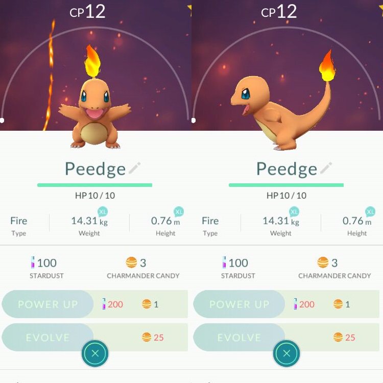 NimlethA's tweet photo. Furthermore, guess who her starter Pokemon was based on and named after? 😇 @Lady_Grae #PokemonGO #DontHurtMe https://t.co/sZlowUrad5