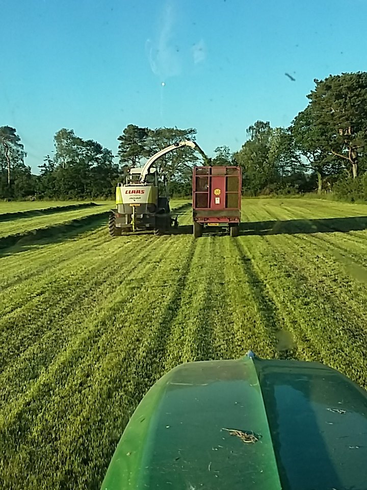 Col14Tom's tweet image. Beautiful nite for it #teamdairy #happycows