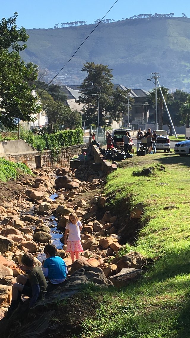 Thanks to everyone who participated in our joint #MandelaDay cleanup of #VanRiebeeckPark <a href="/dpvwatch/">DPV Watch</a>