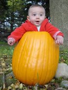 Carroll Gardens CSA tweet media