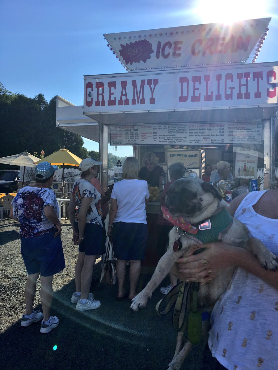 WoofWellington's tweet photo. When #NationalIceCreamDay falls on your birthday .... #yesterdaywasamazing https://t.co/I2G4OQEAAI