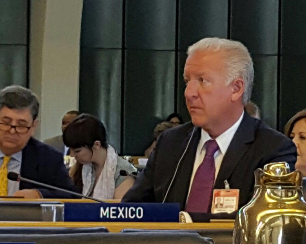 CONAFOR's tweet image. El director de la @CONAFOR @JorgeRescala participará en #COFO23 con intervención sobre la protección de los bosques