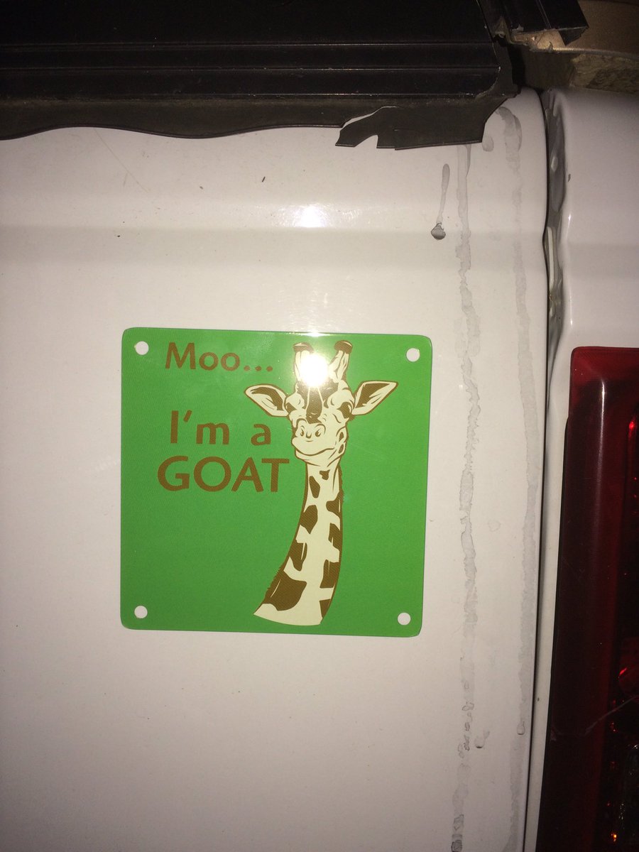 Corey_Layman's tweet image. Since everybody wants to self identify as something they're not I now self identify myself as a giraffe. Quack