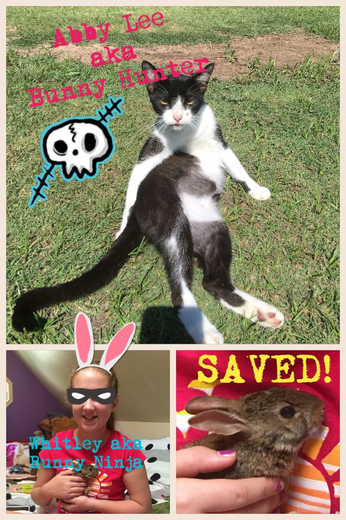 restorereading tweet picture