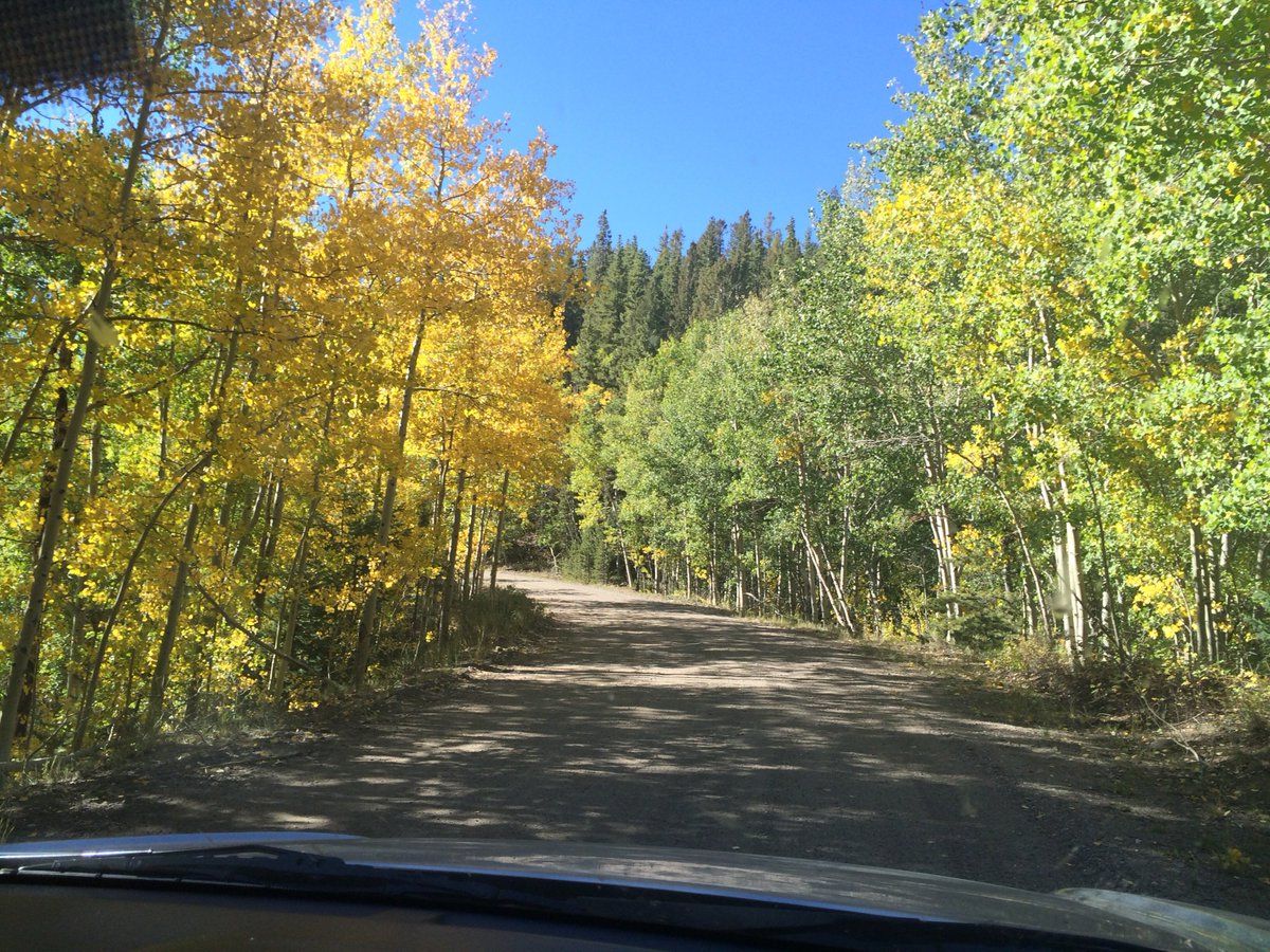 DescribeChanges's tweet image. Description creates moods