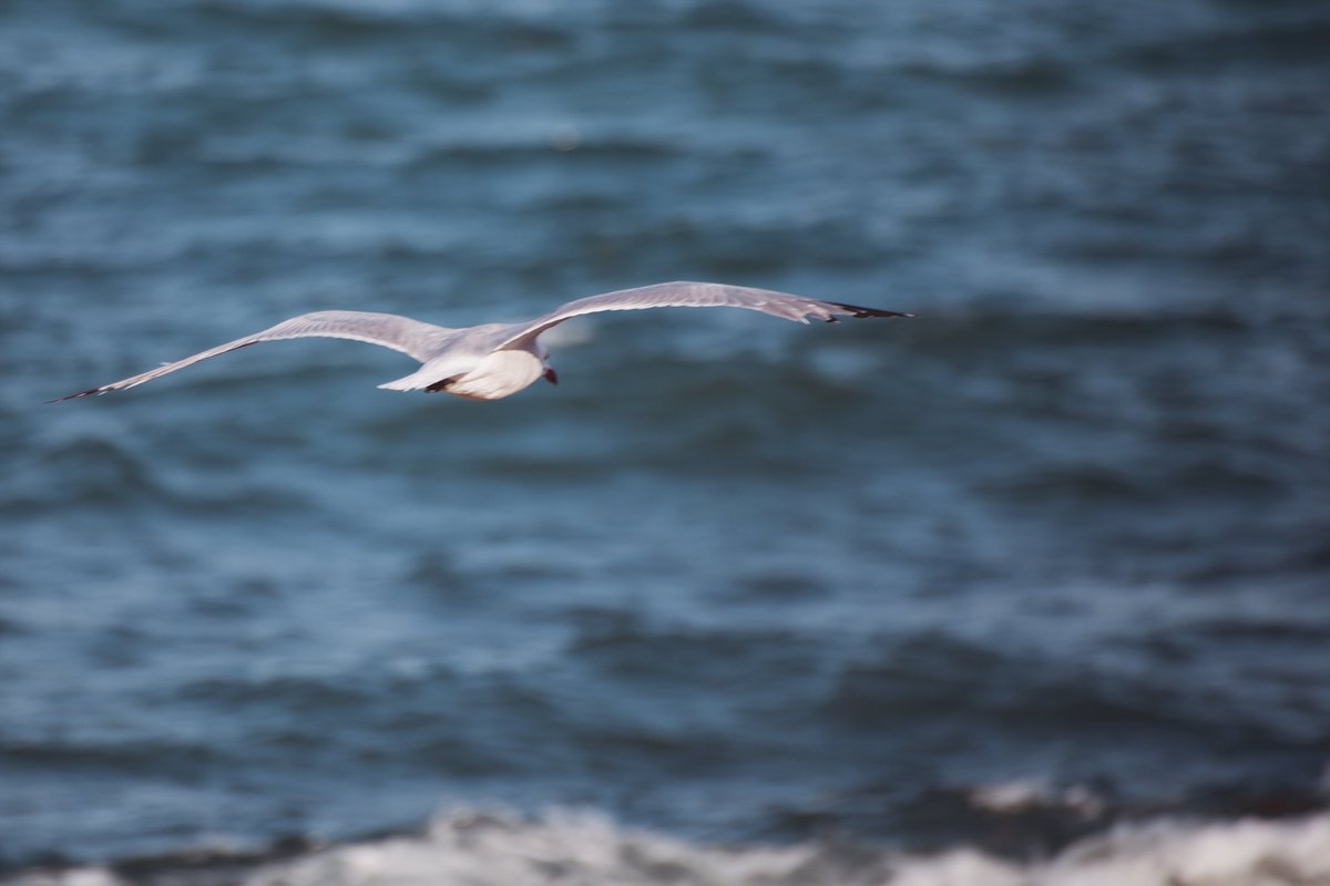 Christian_Ch8's tweet image. Fly💨