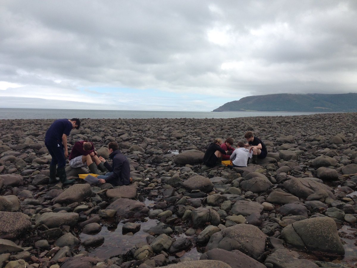 FSCNettlecombe's tweet image. A great weekend of ecology fieldwork and finds with #CombertonVillageCollege #yearoffieldwork