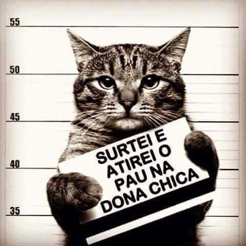 <a href="/marcio_mfc/">Márcio Beta👑</a> <a href="/Nathaliacastro3/">Litta</a>  @diellllen <a href="/ane_ney/">Lili_Beta</a> <a href="/Val_loveS2/">Valquíria Bezerra</a> <a href="/layzetorres/">LayzeTorres🇧🇷🤓</a> <a href="/allan_es/">allan-es</a> <a href="/PinheiroportoRp/">Ricardo Beta</a> <a href="/DrioCastro/">Dário castro neto</a>