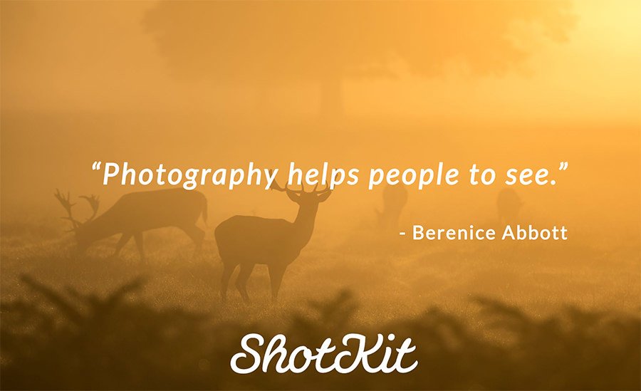 shotkit's tweet photo. Shotkit #Photography #Quote of the Day - Click LIKE if you agree! https://t.co/88vNVBZkCt