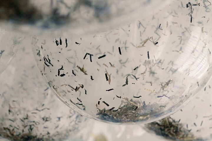 We love these confetti balloons from <a href="/BalloonARoom/">Balloon A Room</a> #dorsethour <a href="/Dorset_Hour/">#Dorsethour</a>